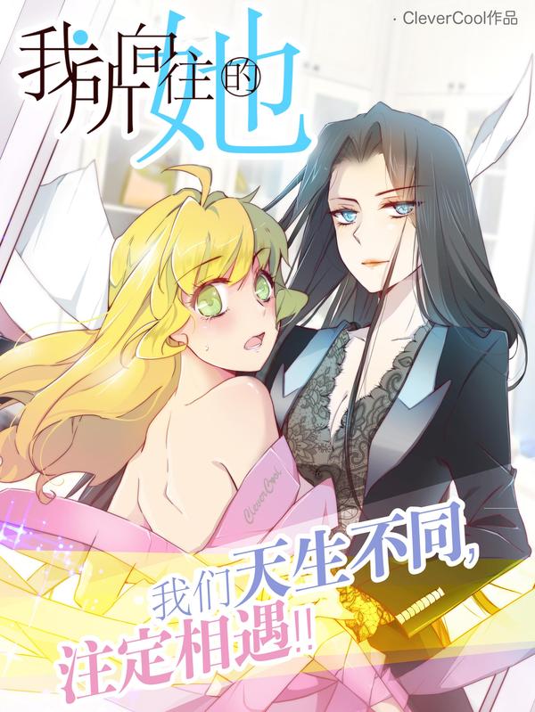 我所向往的她 [db:作者] 漫画封面