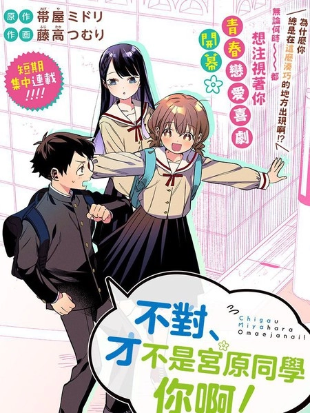 我要找的、才不是宫原你啦 [db:作者] 漫画封面