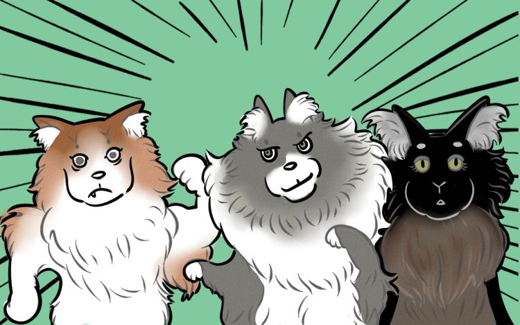 我还有机会吗？ 蘑菇不是水果 漫画封面