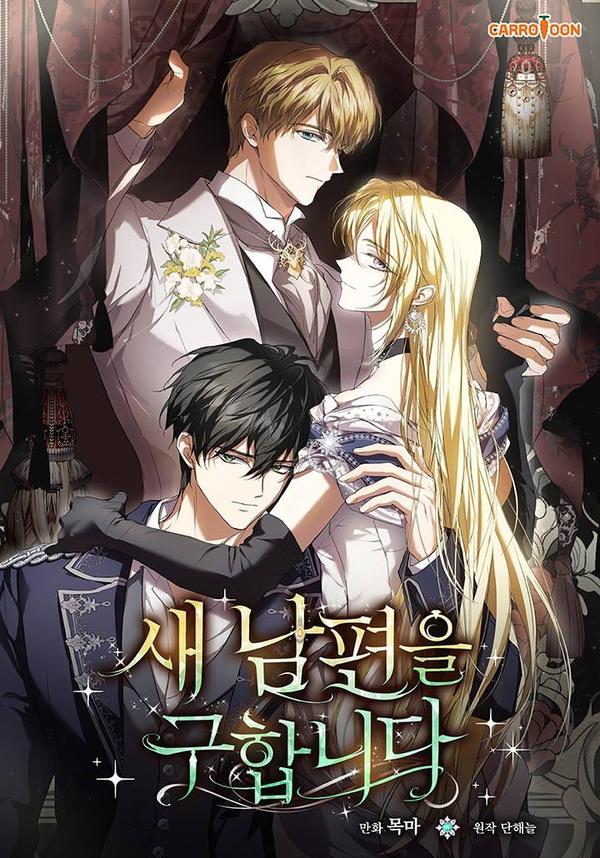 找寻新丈夫 [db:作者] 漫画封面