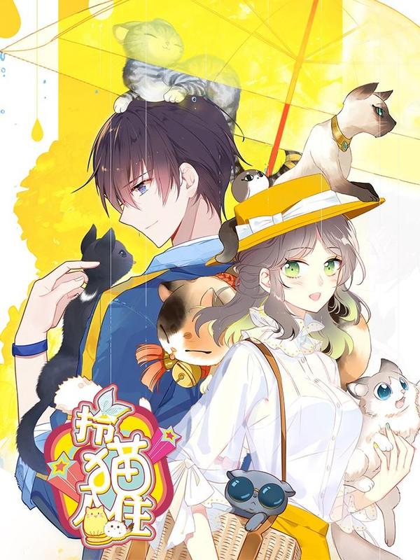 拎猫入住 [db:作者] 漫画封面