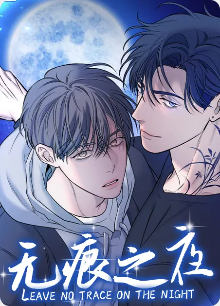 无痕之夜 [db:作者] 漫画封面