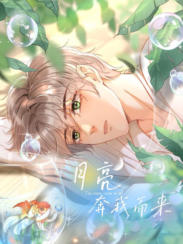 月亮奔我而来 [db:作者] 漫画封面