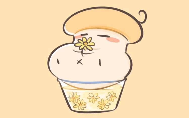 杏鲍菇的料理课堂 漫迷-蘑菇点点 漫画封面