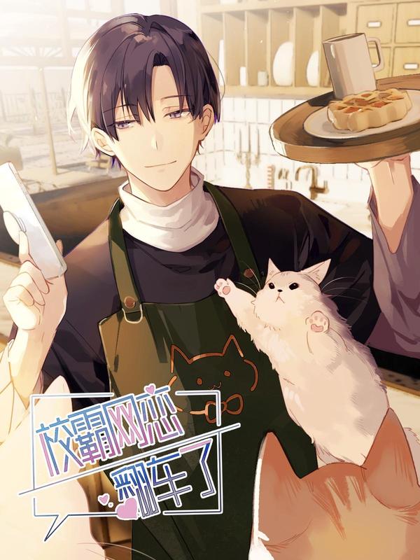 校霸网恋翻车了 [db:作者] 漫画封面