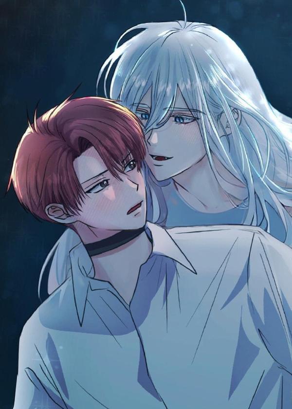 森林狼的诅咒 [db:作者] 漫画封面