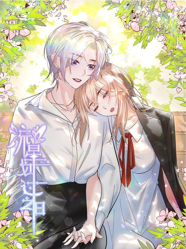 流星划过之日 [db:作者] 漫画封面