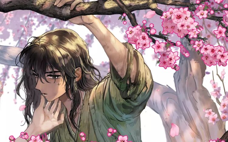 清儿传 biwan（主笔）+seri（脚本） 漫画封面