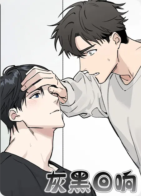 灰黑回响 [db:作者] 漫画封面