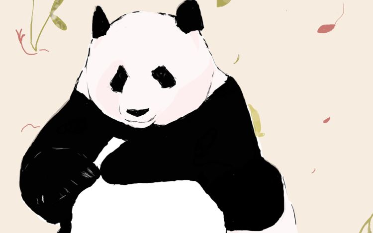 熊猫万物 无牙_2024_C2giK9 漫画封面