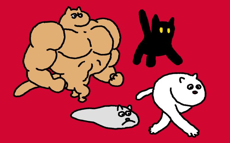 爱老虎油 拒绝洗猫碗 漫画封面