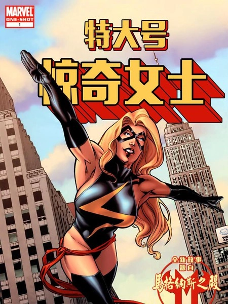 特大号惊奇女士 [db:作者] 漫画封面