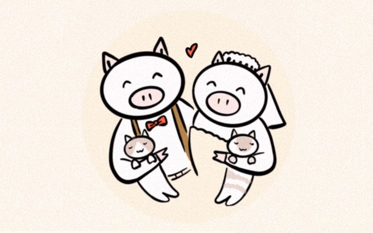 猪猫的日常四格 yilly桃子 漫画封面