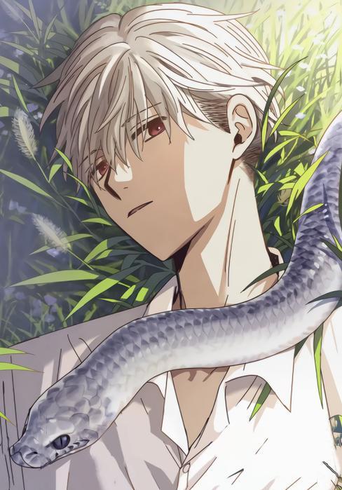 白鳞 [db:作者] 漫画封面