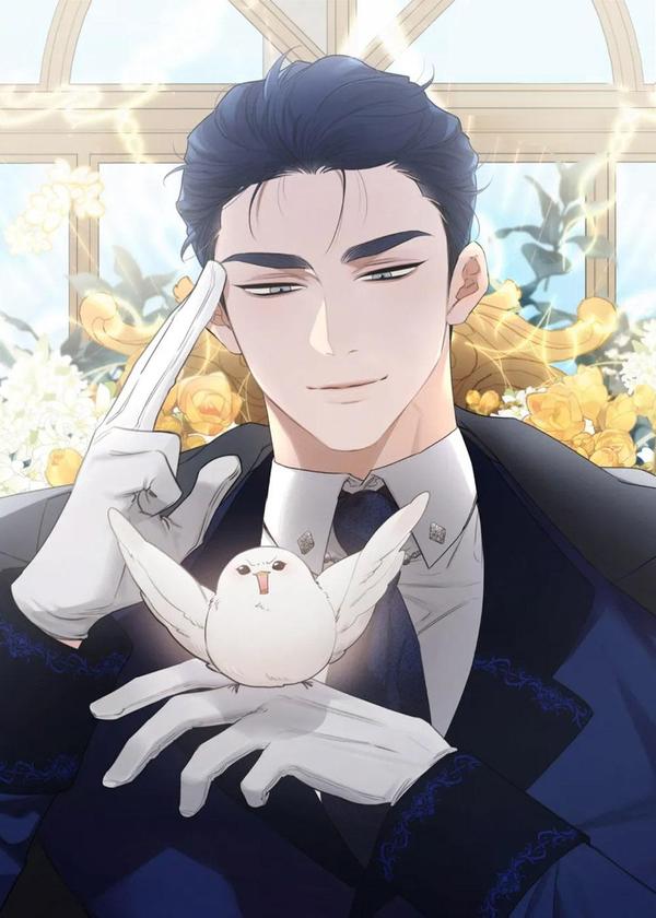 白鸟奇遇记 [db:作者] 漫画封面