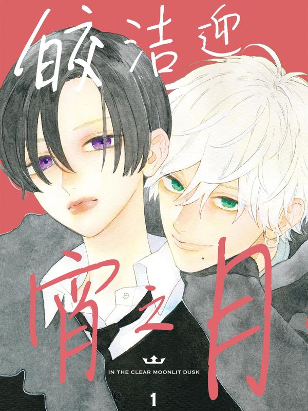 皎洁迎宵之月 [db:作者] 漫画封面