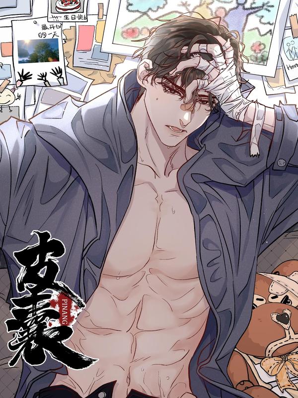 皮囊 [db:作者] 漫画封面