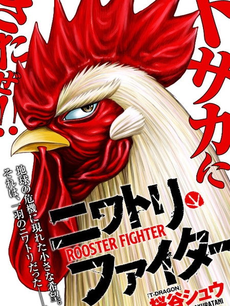 社会我鸡哥，人狠话不多 [db:作者] 漫画封面