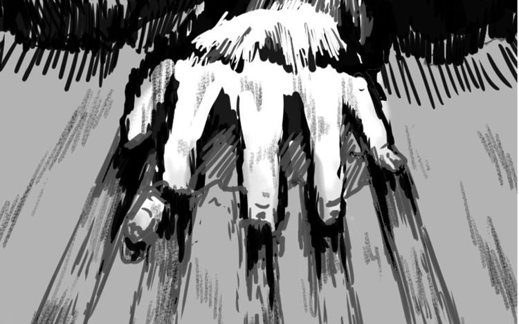 空岛 善无为 漫画封面