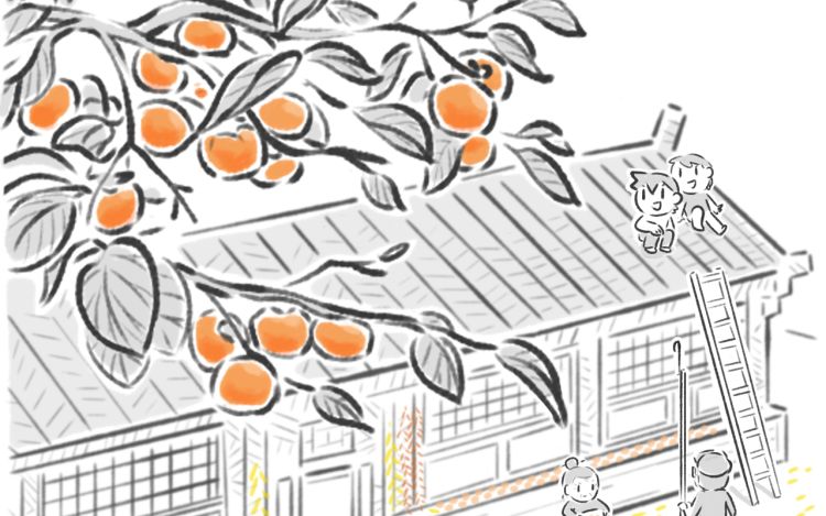 绵绵细雨织回忆 村长有竹 漫画封面