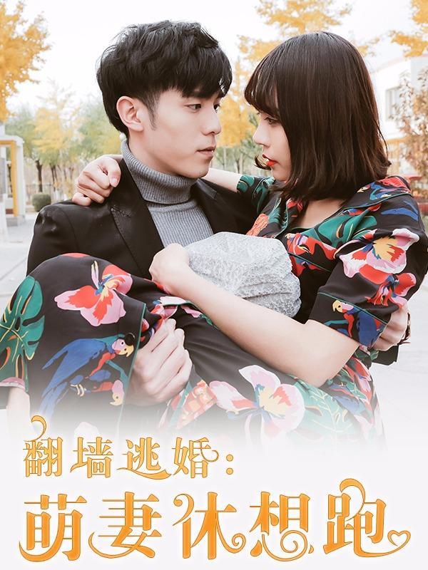 翻墙逃婚：萌妻休想跑（真人版） [db:作者] 漫画封面