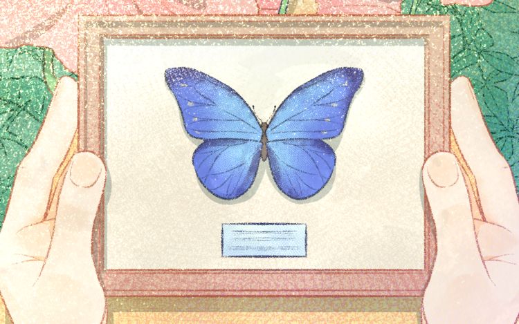 虫虫往生录 二次方天 漫画封面