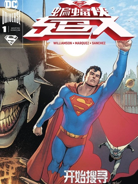 蝙蝠侠超人 [db:作者] 漫画封面