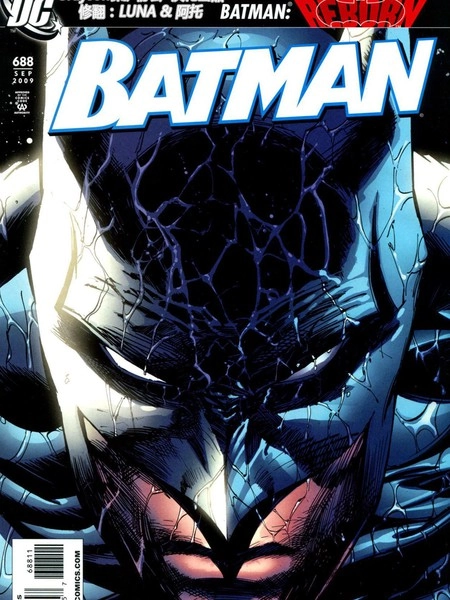 蝙蝠侠：暗夜长影 [db:作者] 漫画封面