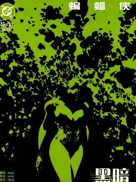 蝙蝠侠：黑暗胜利 [db:作者] 漫画封面