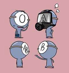 血型小将 [db:作者] 漫画封面