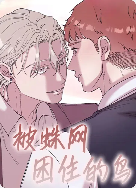 被蛛网困住的鸟 [db:作者] 漫画封面