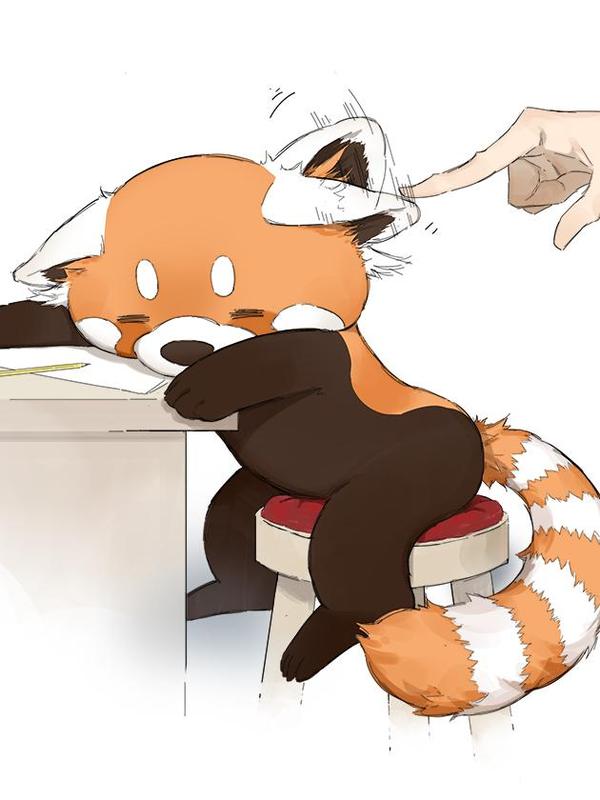 请叫我小熊猫 [db:作者] 漫画封面