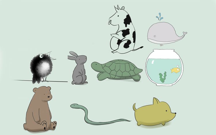 超萌动物 我要去画画 漫画封面