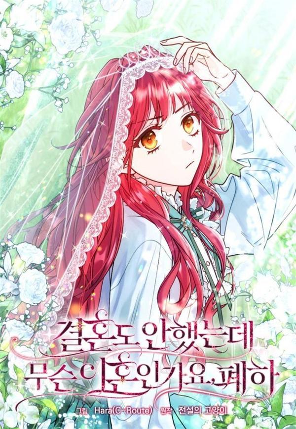 还没结婚离什么婚啊,陛下 [db:作者] 漫画封面