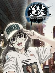 逆篮 [db:作者] 漫画封面