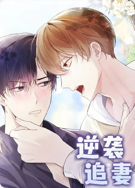 逆袭追妻 [db:作者] 漫画封面