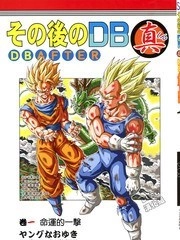 那之后的龙珠真 [db:作者] 漫画封面