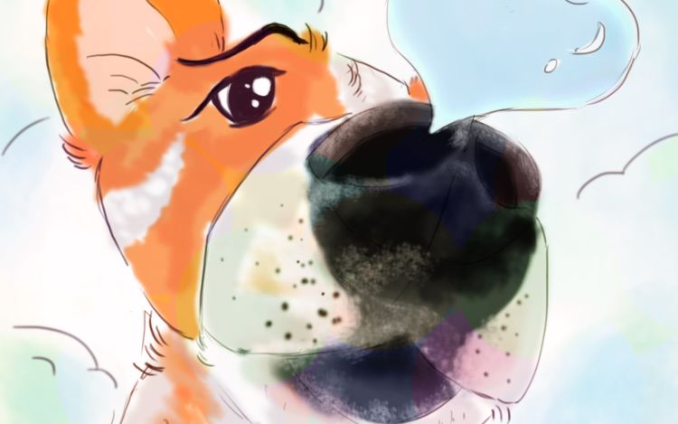 铲屎官de基 fihohcyo 漫画封面