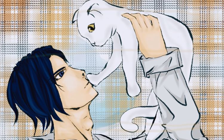 闪瞎了我的猫猫眼 三观不观 漫画封面