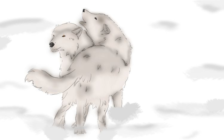 青知秋 Everetter雷 漫画封面