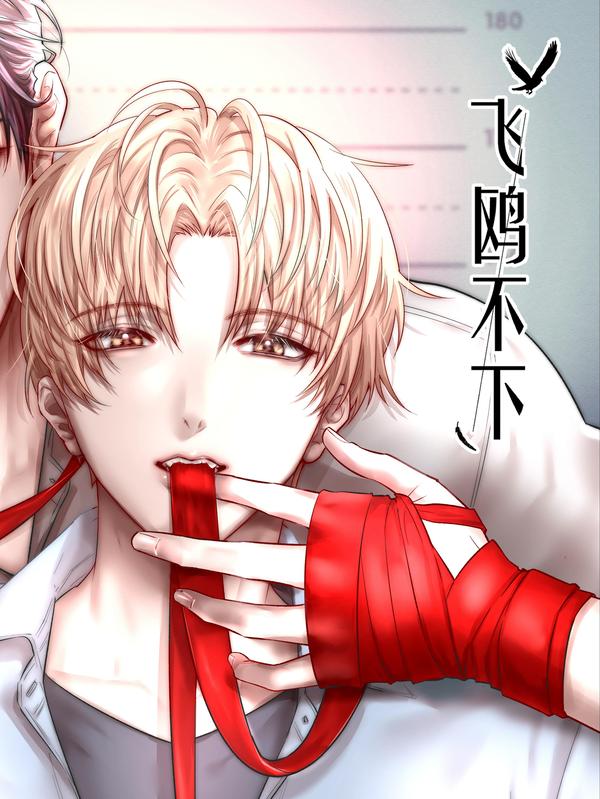 飞鸥不下 [db:作者] 漫画封面