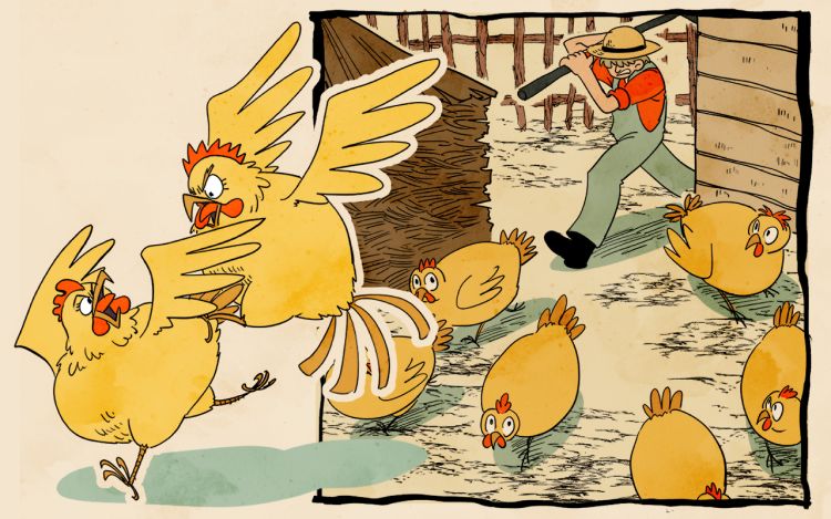 鸡圈革命 白雁楠 漫画封面