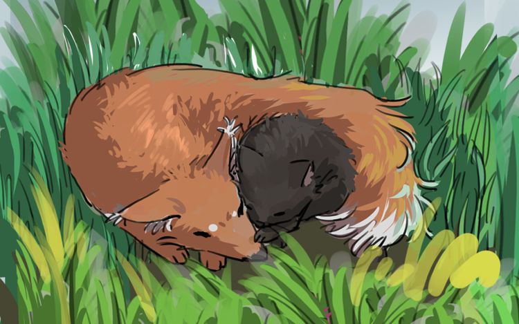 黑猫和狐狸 害怕人类的鸽子 漫画封面