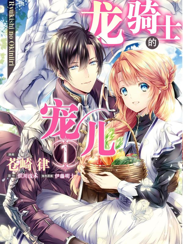 龙骑士的宠儿 [db:作者] 漫画封面